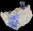 Azurite Crystal on Matrix - Morocco #49446-1